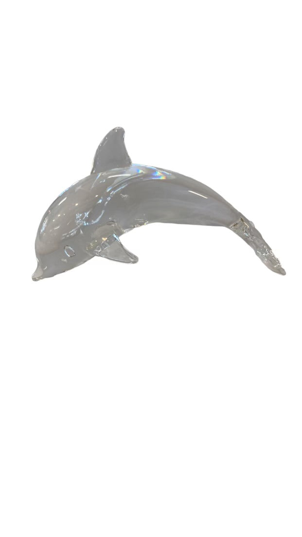 Steuben Dolphin