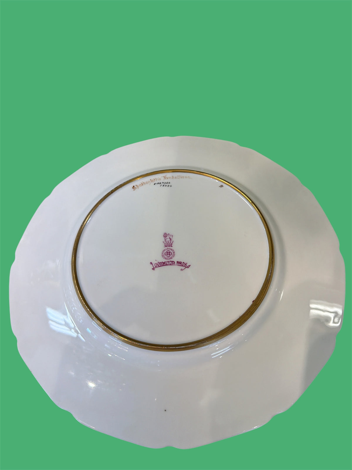 Royal Doulton Floral Orchid Plates