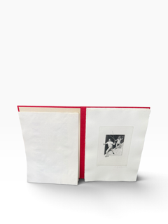 ARTISTS for SPORTS Book
