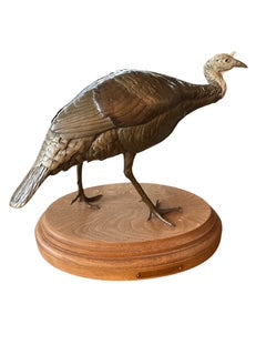 American Wild Turkey Sculpture