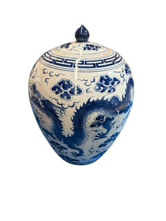 Chinese Blue and White Porcelain Ginger Jar