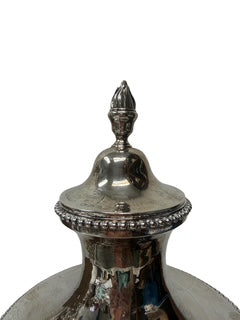 Silver Hot Water Kettle