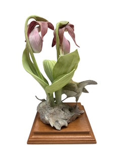 Royal Worcester- Oven Bird and Ladys Slipper Orchid
