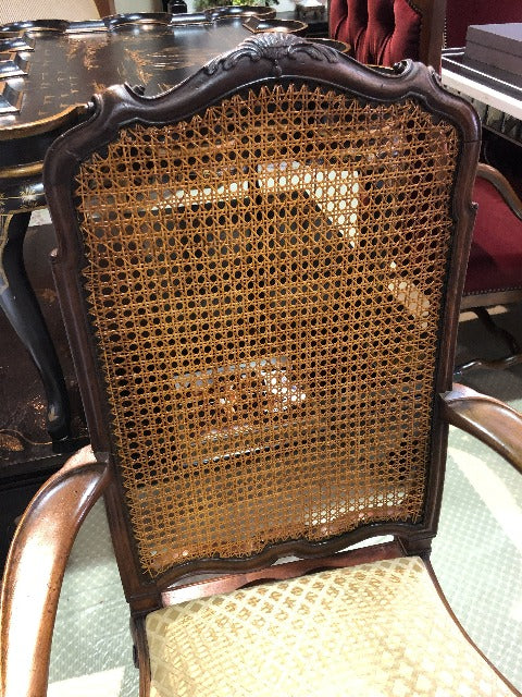 8 / 19th Century Burlwood Chairs