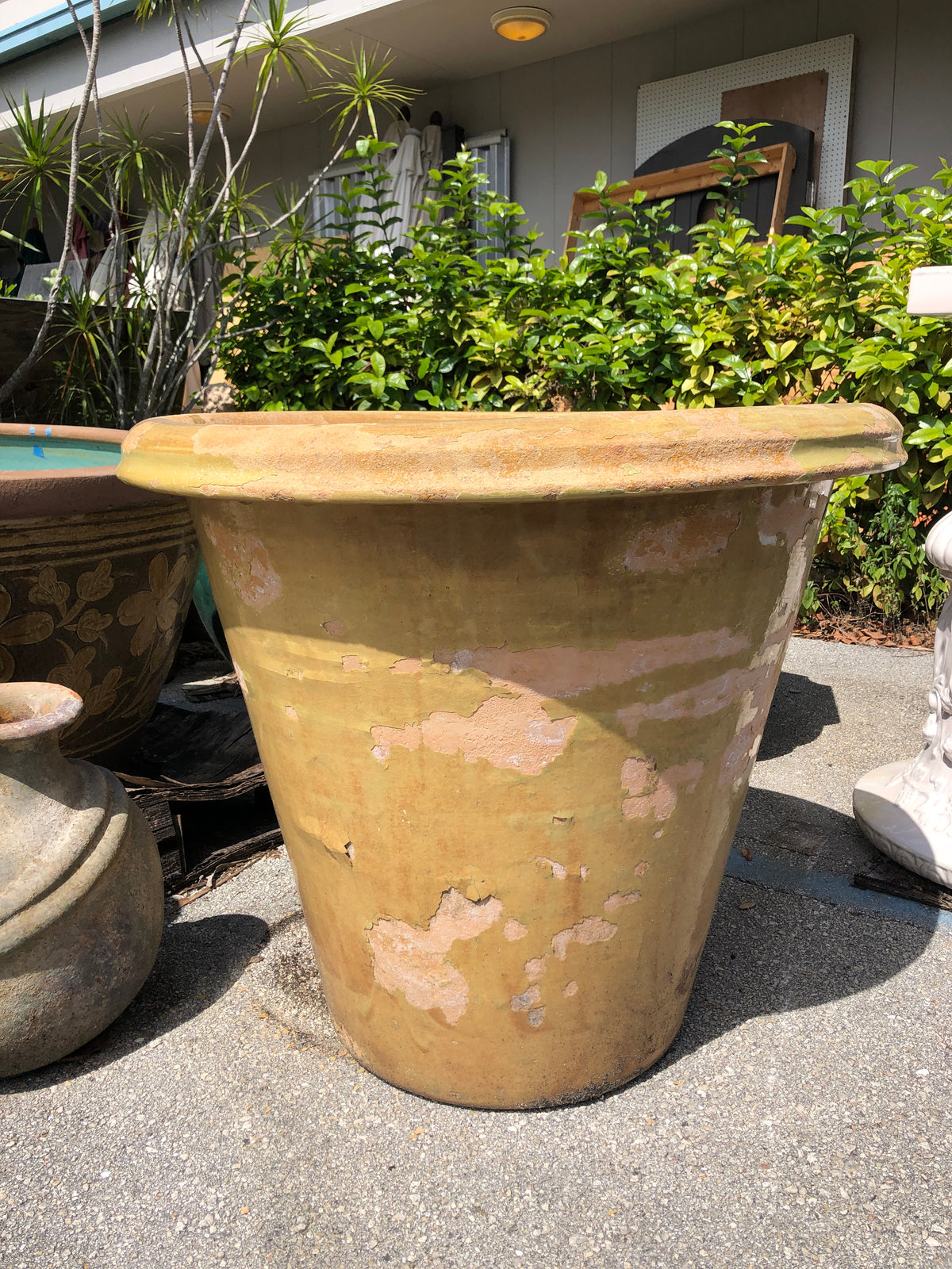 Large Italian Terracotta Pot