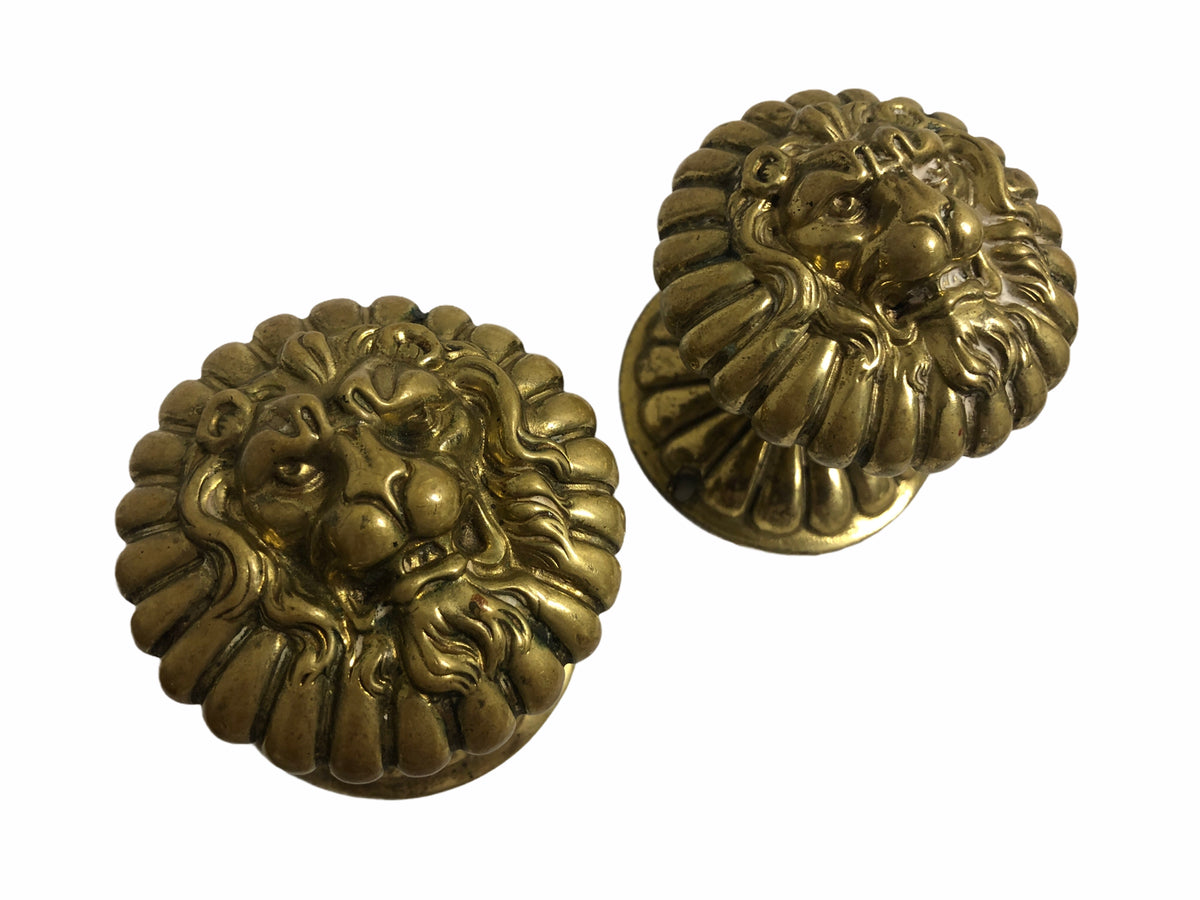 Pair Brass Lion Knobs