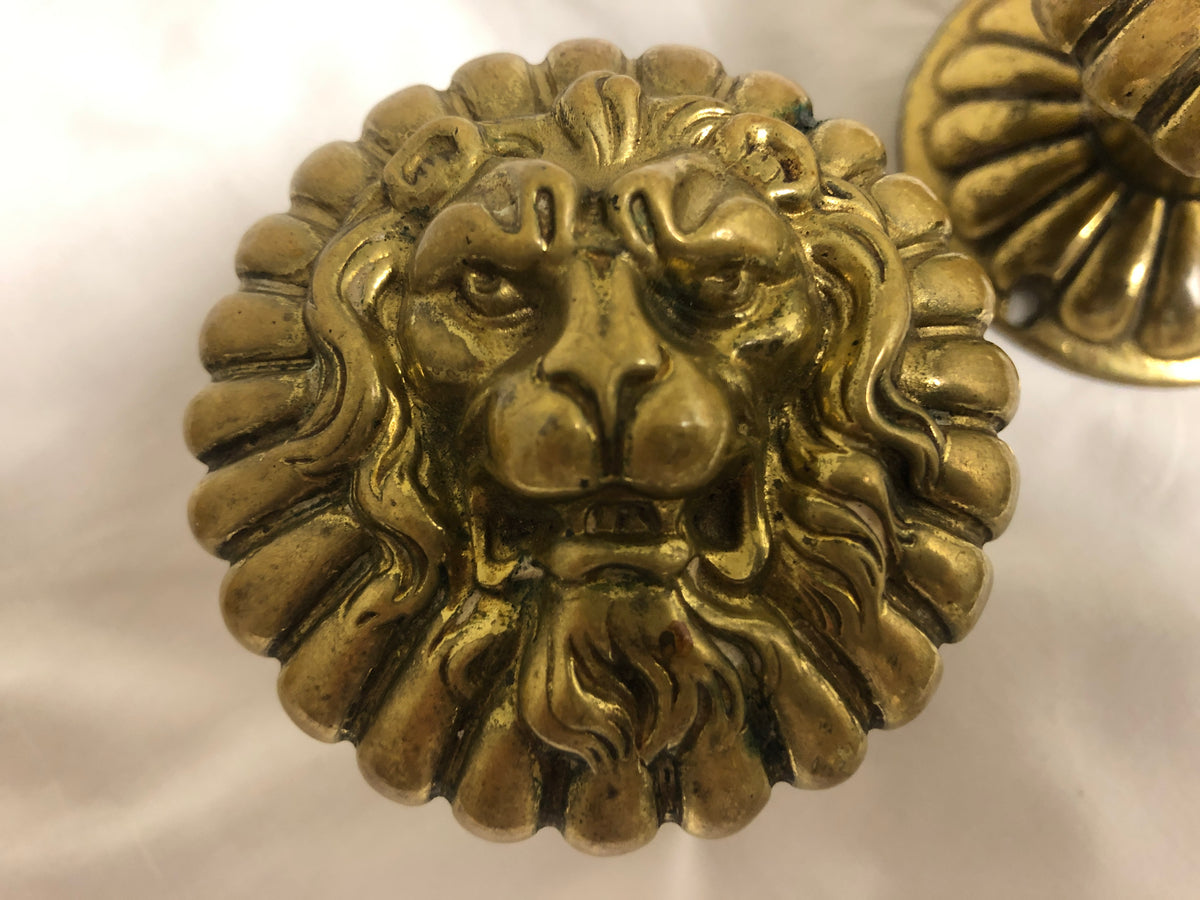Pair Brass Lion Knobs