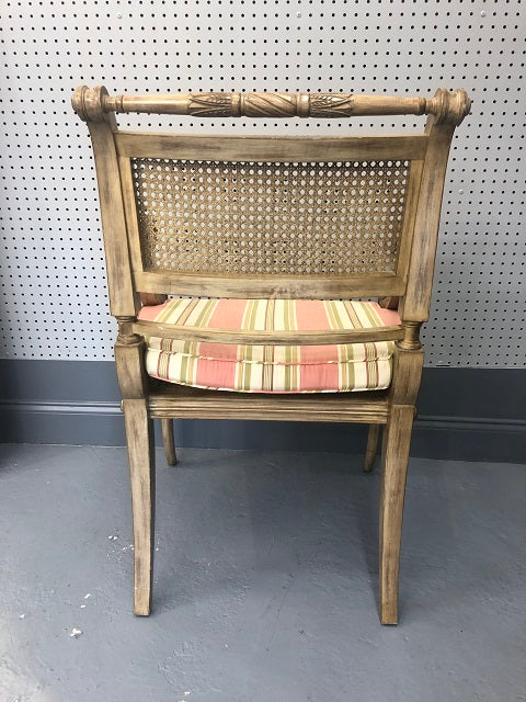 6 Regency Style Cane Arm Chairs