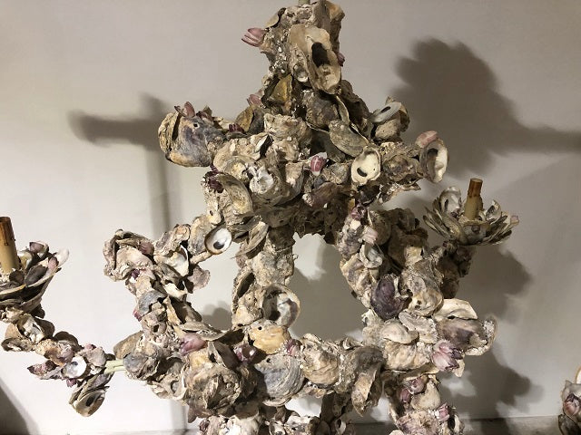 Oyster Shell Chandelier by Currey & Company