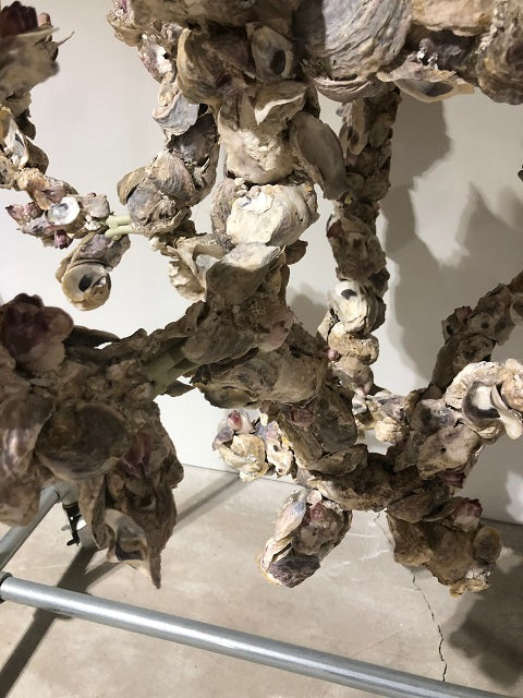 Oyster Shell Chandelier by Currey & Company