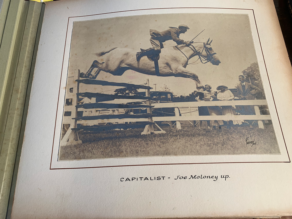 Antique Leather Horse Photo Collection Show Hunters Claredda Farms